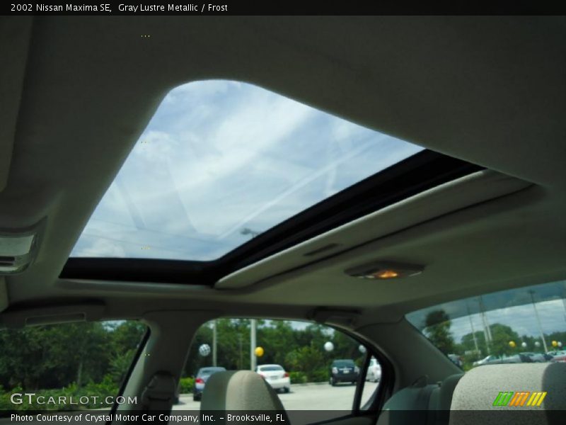 Gray Lustre Metallic / Frost 2002 Nissan Maxima SE