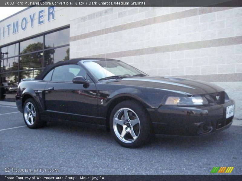 Black / Dark Charcoal/Medium Graphite 2003 Ford Mustang Cobra Convertible