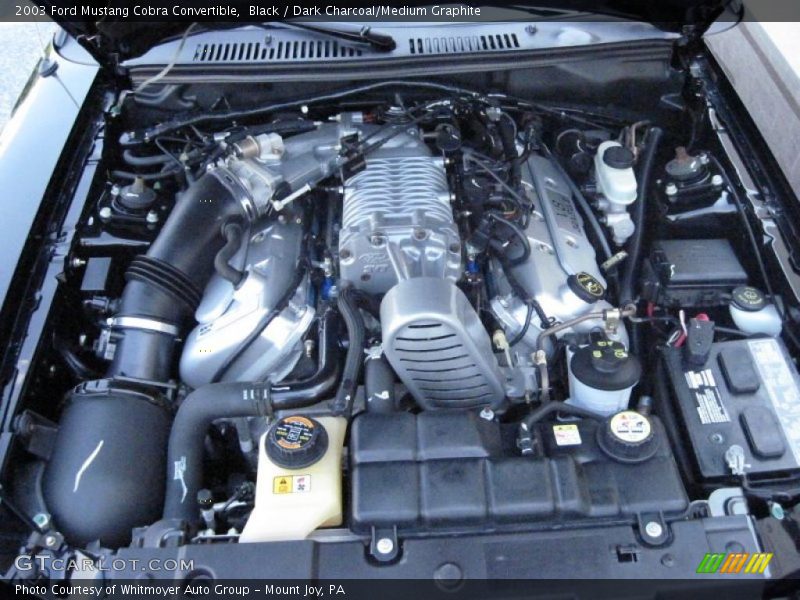 Black / Dark Charcoal/Medium Graphite 2003 Ford Mustang Cobra Convertible