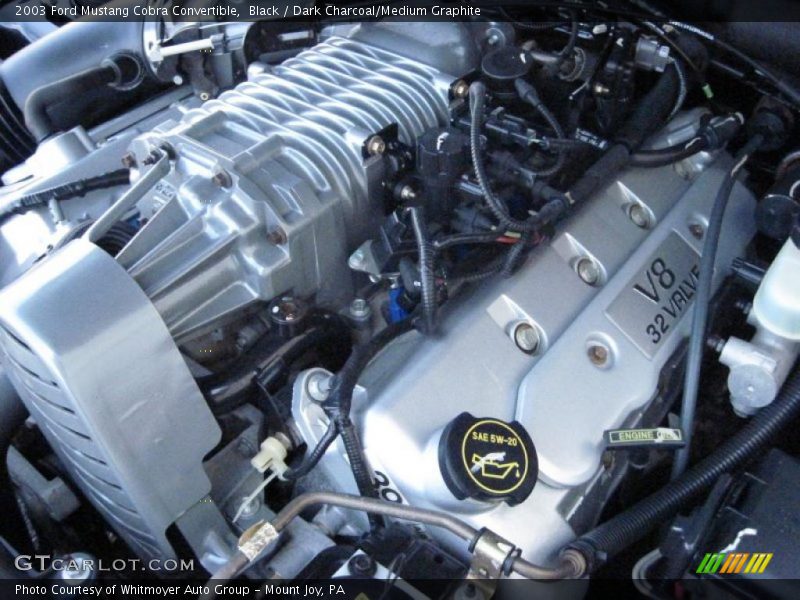 Black / Dark Charcoal/Medium Graphite 2003 Ford Mustang Cobra Convertible
