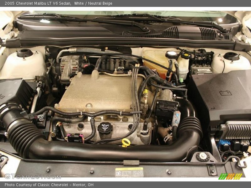 White / Neutral Beige 2005 Chevrolet Malibu LT V6 Sedan
