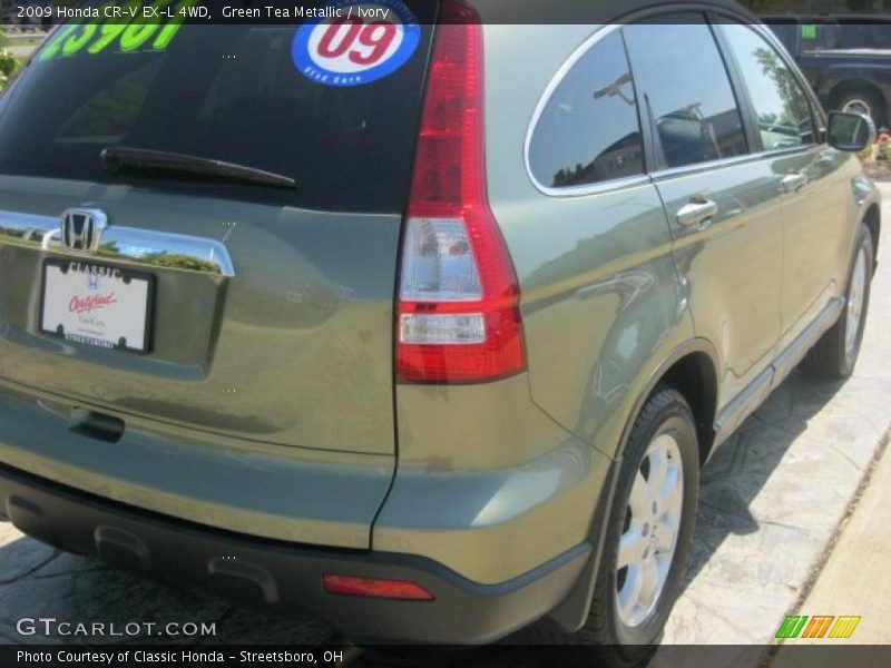 Green Tea Metallic / Ivory 2009 Honda CR-V EX-L 4WD