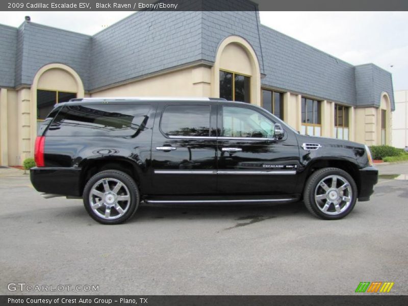 Black Raven / Ebony/Ebony 2009 Cadillac Escalade ESV