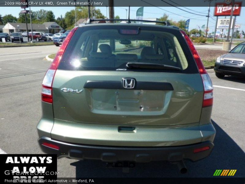 Green Tea Metallic / Ivory 2009 Honda CR-V LX 4WD