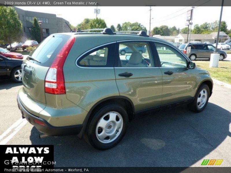 Green Tea Metallic / Ivory 2009 Honda CR-V LX 4WD