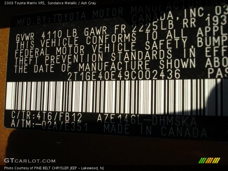 Sundance Metallic / Ash Gray 2009 Toyota Matrix XRS