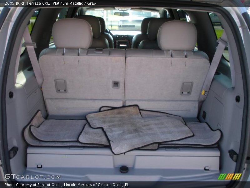 Platinum Metallic / Gray 2005 Buick Terraza CXL