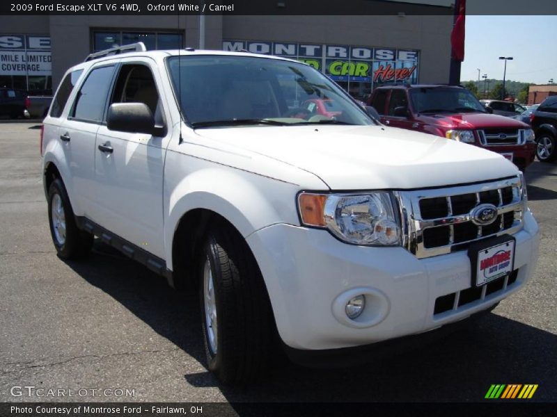 Oxford White / Camel 2009 Ford Escape XLT V6 4WD