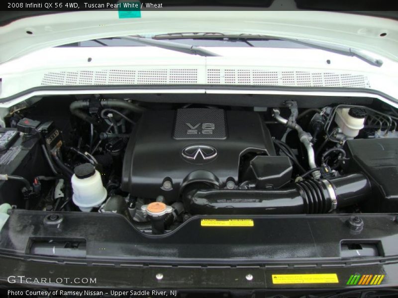 Tuscan Pearl White / Wheat 2008 Infiniti QX 56 4WD