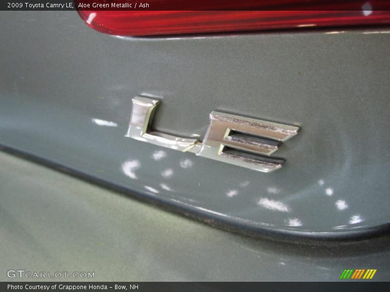 Aloe Green Metallic / Ash 2009 Toyota Camry LE