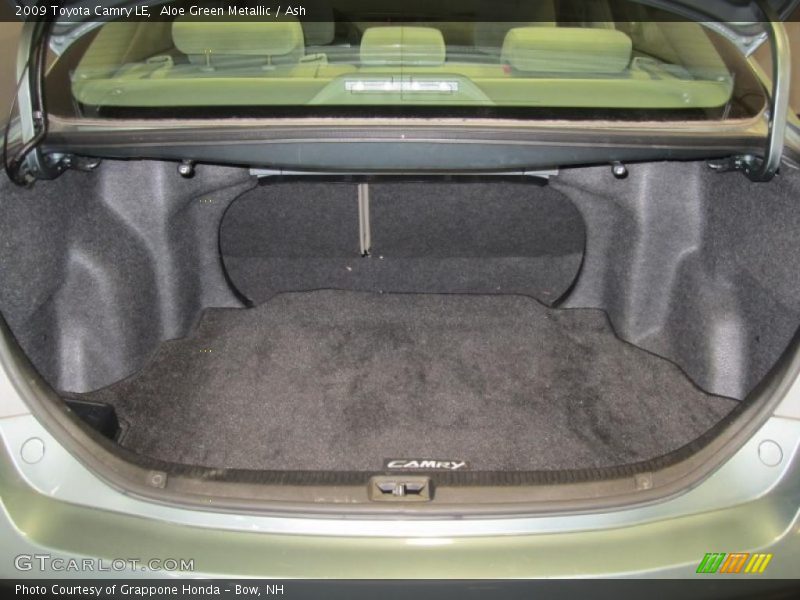 Aloe Green Metallic / Ash 2009 Toyota Camry LE