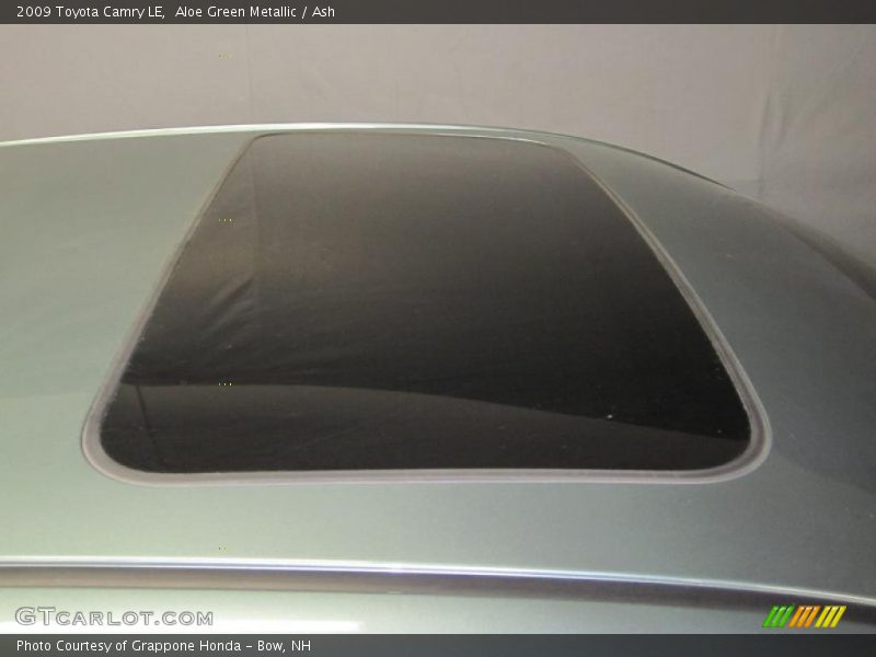 Aloe Green Metallic / Ash 2009 Toyota Camry LE