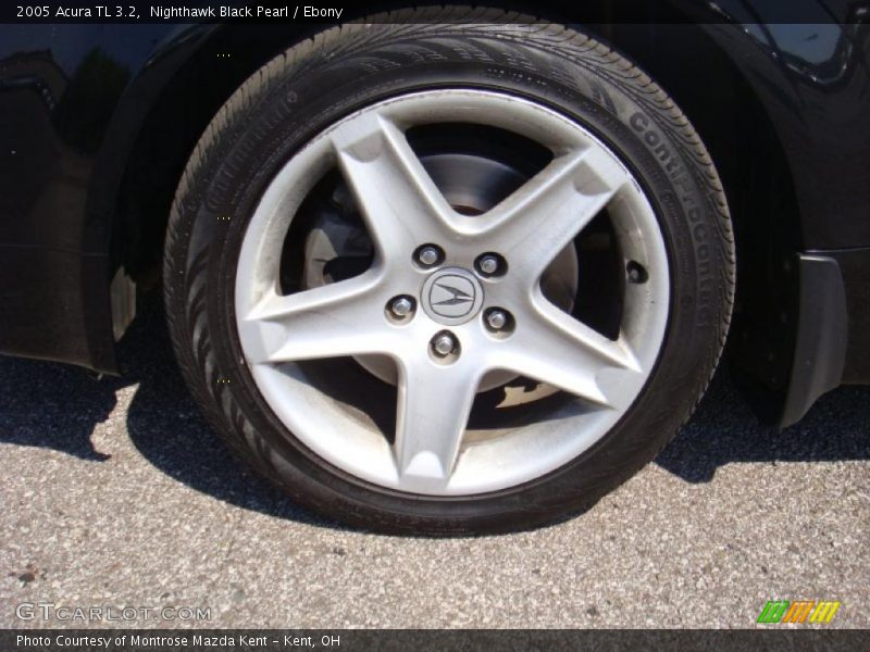 Nighthawk Black Pearl / Ebony 2005 Acura TL 3.2
