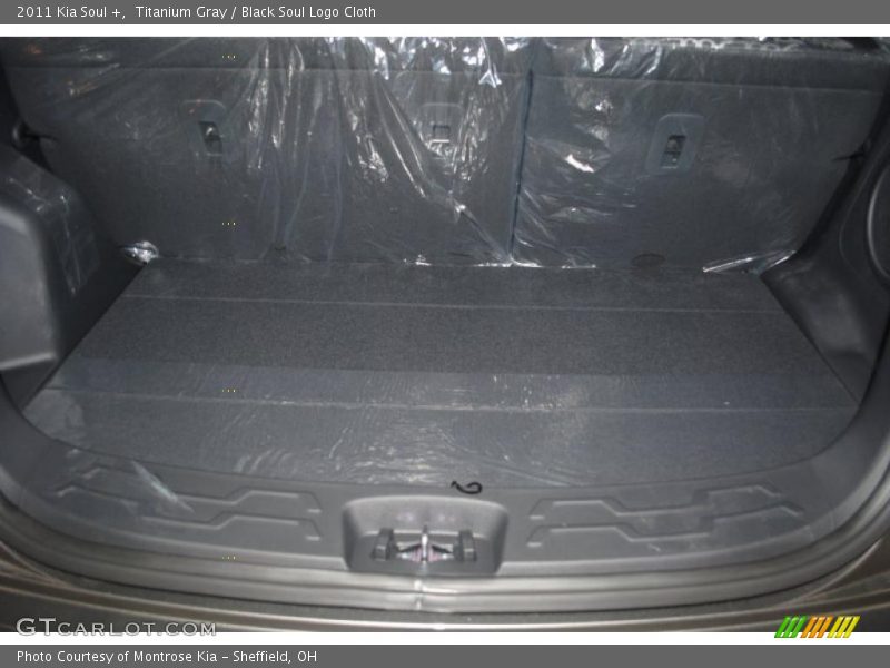 Titanium Gray / Black Soul Logo Cloth 2011 Kia Soul +