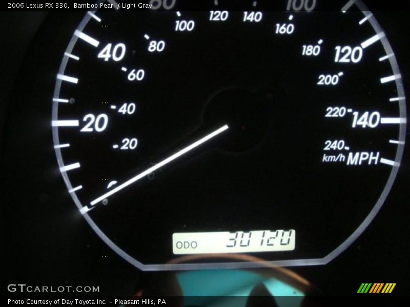 Bamboo Pearl / Light Gray 2006 Lexus RX 330