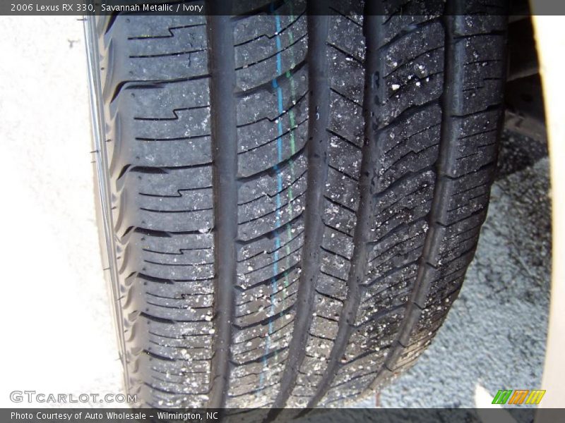 Savannah Metallic / Ivory 2006 Lexus RX 330