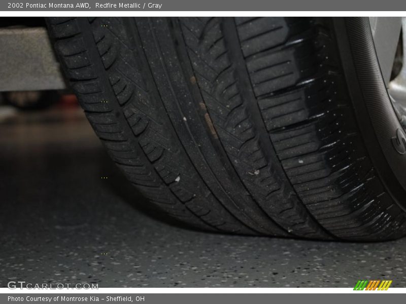 Redfire Metallic / Gray 2002 Pontiac Montana AWD