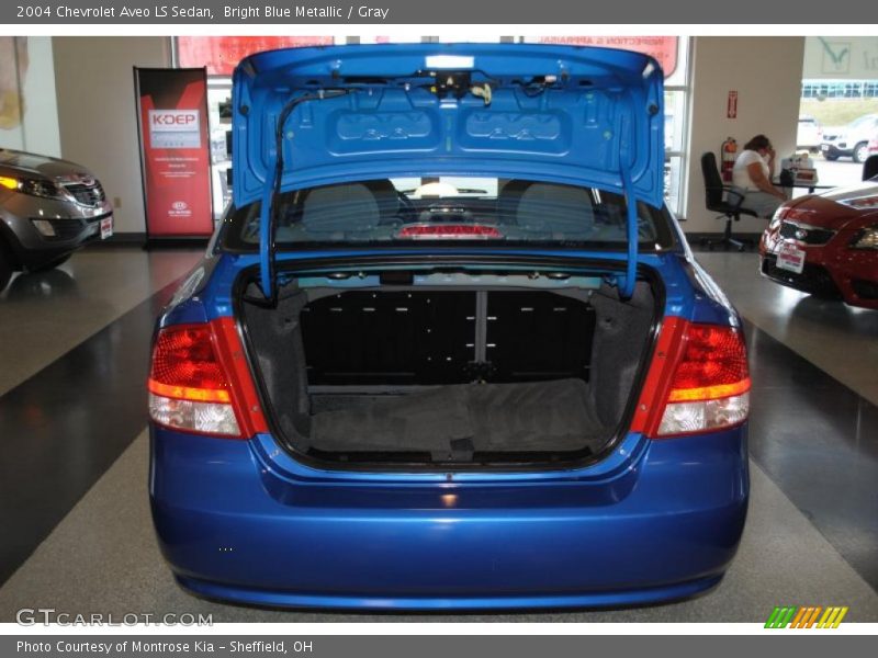 Bright Blue Metallic / Gray 2004 Chevrolet Aveo LS Sedan