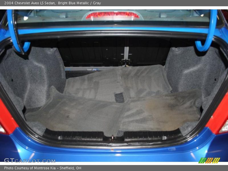 Bright Blue Metallic / Gray 2004 Chevrolet Aveo LS Sedan