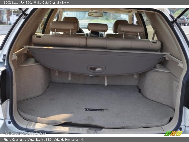 White Gold Crystal / Ivory 2002 Lexus RX 300