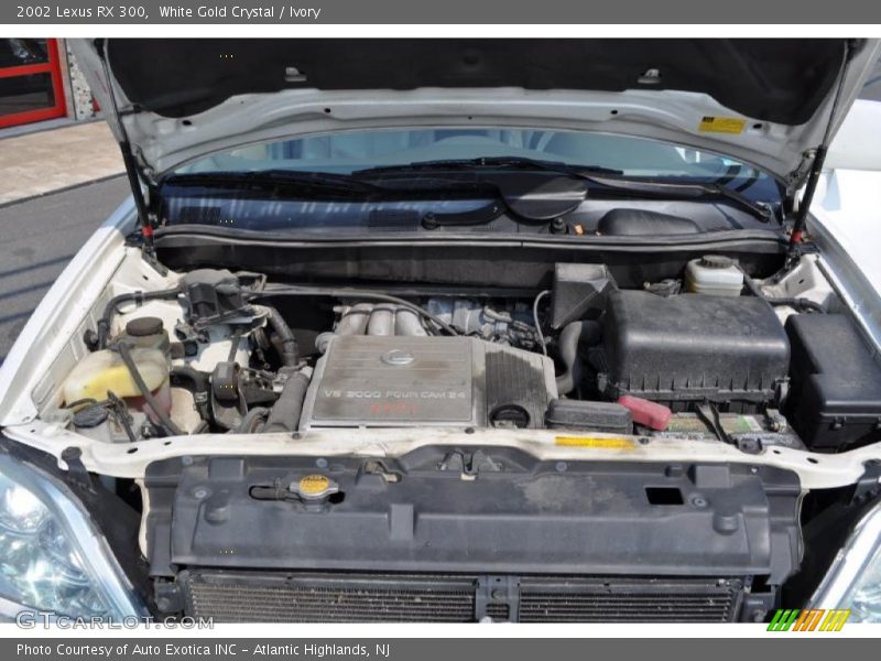 White Gold Crystal / Ivory 2002 Lexus RX 300
