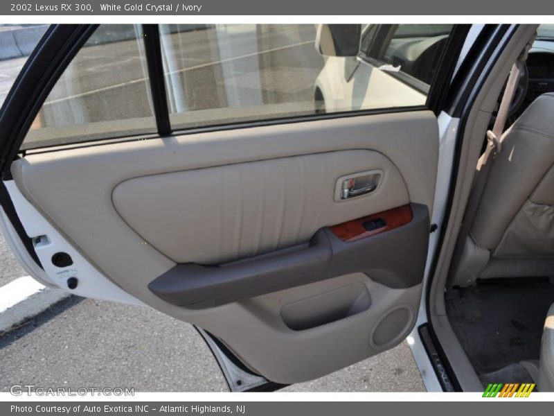 White Gold Crystal / Ivory 2002 Lexus RX 300