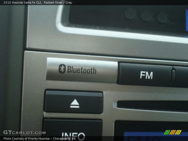 Radiant Silver / Gray 2010 Hyundai Santa Fe GLS