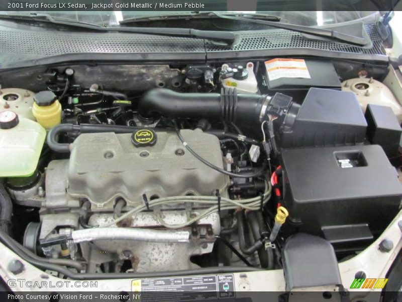 Jackpot Gold Metallic / Medium Pebble 2001 Ford Focus LX Sedan