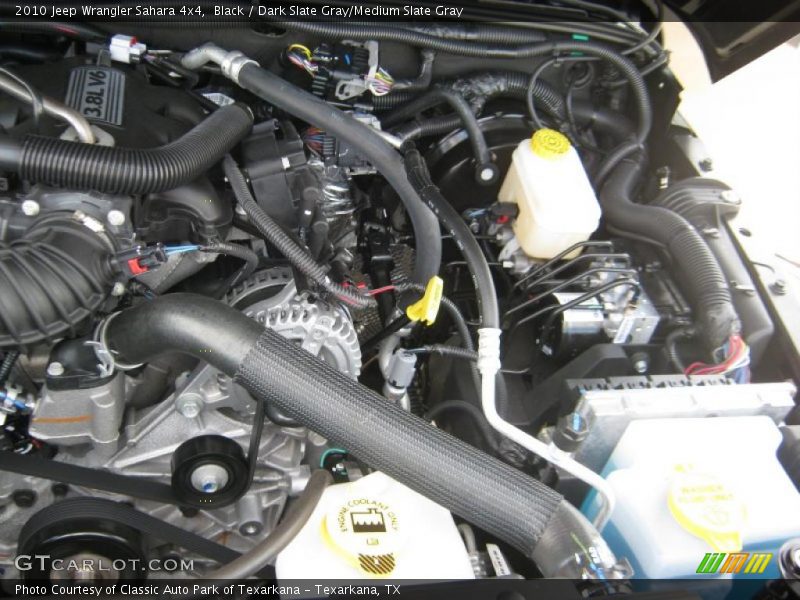 Black / Dark Slate Gray/Medium Slate Gray 2010 Jeep Wrangler Sahara 4x4