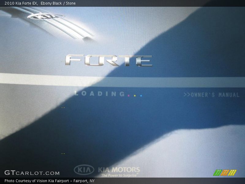Ebony Black / Stone 2010 Kia Forte EX
