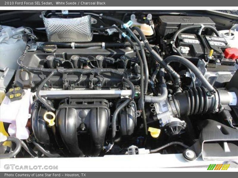 White Suede / Charcoal Black 2010 Ford Focus SEL Sedan