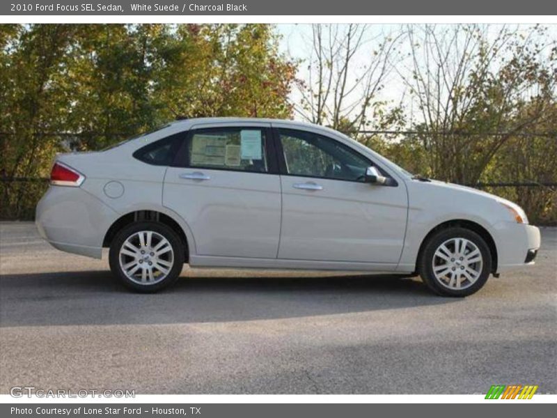 White Suede / Charcoal Black 2010 Ford Focus SEL Sedan