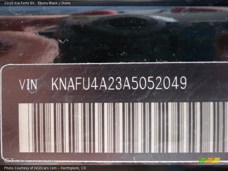 Ebony Black / Stone 2010 Kia Forte EX