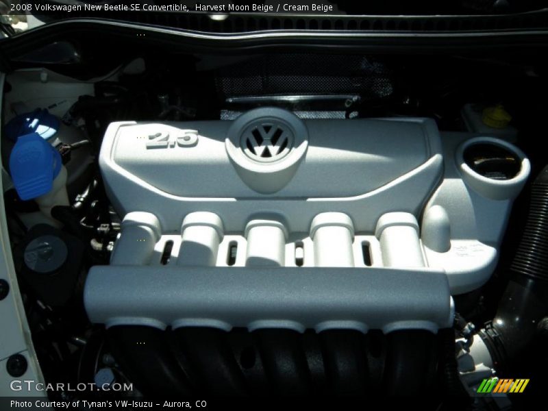 Harvest Moon Beige / Cream Beige 2008 Volkswagen New Beetle SE Convertible