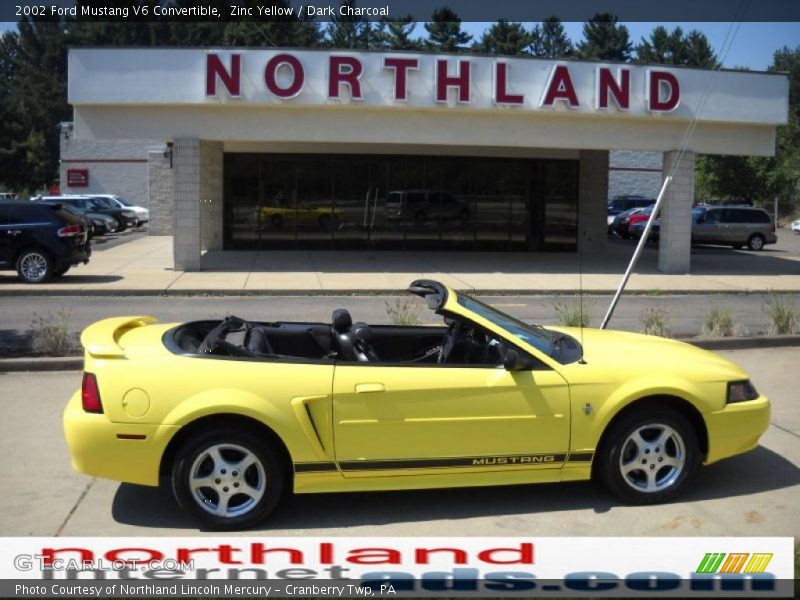 Zinc Yellow / Dark Charcoal 2002 Ford Mustang V6 Convertible