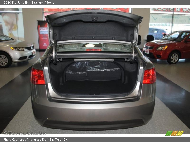 Titanium / Stone 2010 Kia Forte EX