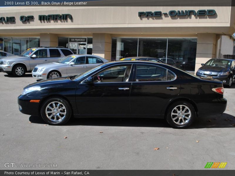 Black Onyx / Beige Leather 2003 Lexus ES 300