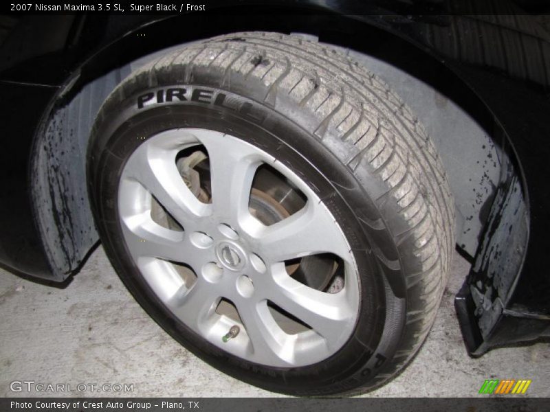 Super Black / Frost 2007 Nissan Maxima 3.5 SL