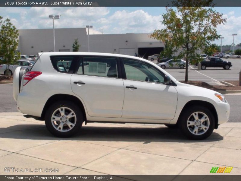 Super White / Ash Gray 2009 Toyota RAV4 4WD