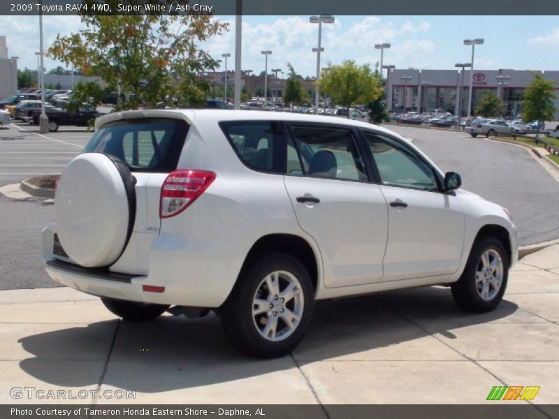 Super White / Ash Gray 2009 Toyota RAV4 4WD