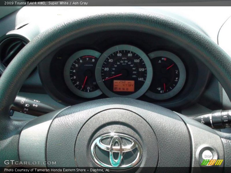 Super White / Ash Gray 2009 Toyota RAV4 4WD