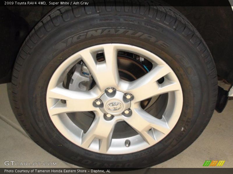Super White / Ash Gray 2009 Toyota RAV4 4WD