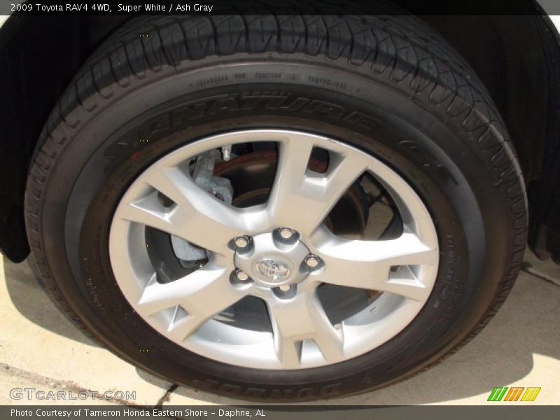 Super White / Ash Gray 2009 Toyota RAV4 4WD