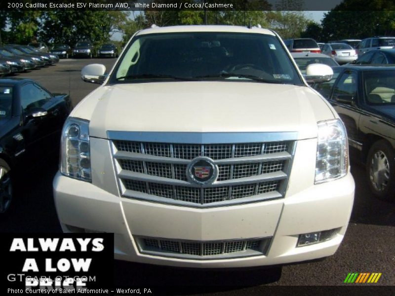 White Diamond / Cocoa/Cashmere 2009 Cadillac Escalade ESV Platinum AWD