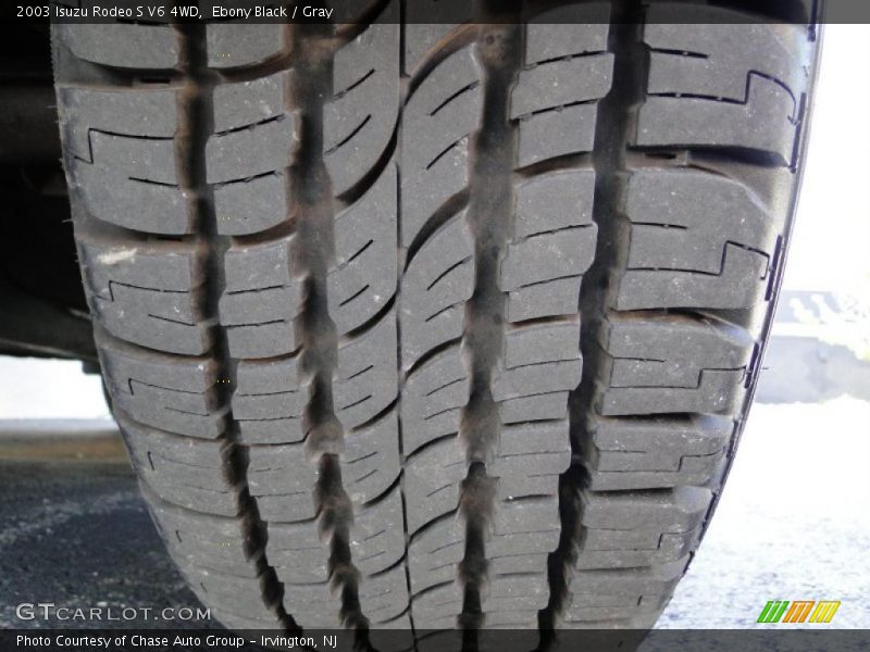 Ebony Black / Gray 2003 Isuzu Rodeo S V6 4WD