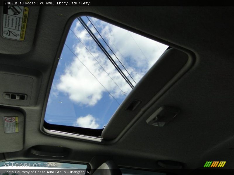Ebony Black / Gray 2003 Isuzu Rodeo S V6 4WD