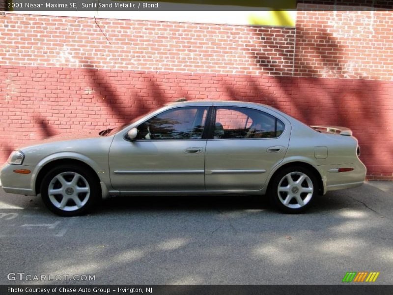 Sunlit Sand Metallic / Blond 2001 Nissan Maxima SE