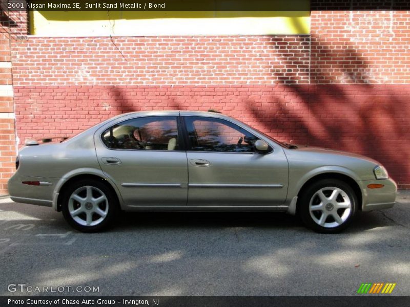 Sunlit Sand Metallic / Blond 2001 Nissan Maxima SE