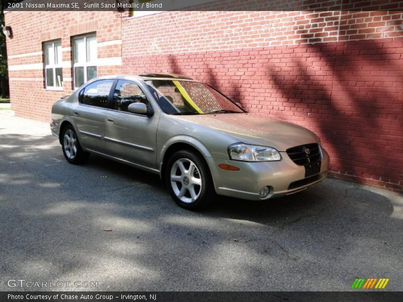 Sunlit Sand Metallic / Blond 2001 Nissan Maxima SE