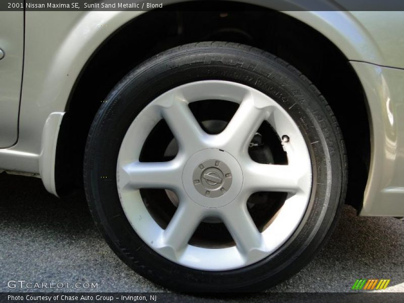 Sunlit Sand Metallic / Blond 2001 Nissan Maxima SE